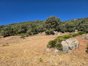 De Cherki  à Azrou : 5 heures pour 216km