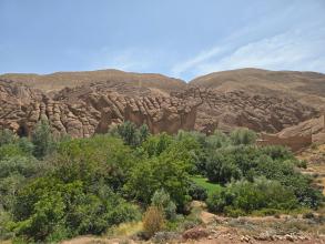 Des gorges du Dades à la Vallée des Roses