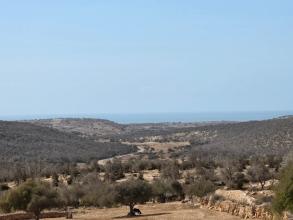 En direction de Essaouira : Moulay Bouzarktoune